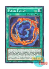 画像: 英語版 BLC1-EN134 Fossil Fusion 化石融合－フォッシル・フュージョン (ノーマル) 1st Edition