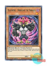 画像: 英語版 DLCS-EN031 Blackwing - Hurricane the Tornado BF－竜巻のハリケーン (ノーマル) 1st Edition