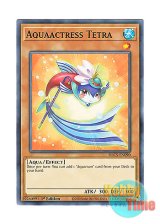 画像: 英語版 DLCS-EN090 Aquaactress Tetra アクアアクトレス・テトラ (ノーマル) 1st Edition