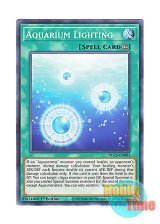 画像: 英語版 DLCS-EN095 Aquarium Lighting 水照明 (ノーマル) 1st Edition