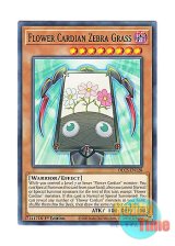 画像: 英語版 DLCS-EN128 Flower Cardian Zebra Grass 花札衛－芒－ (ノーマル) 1st Edition