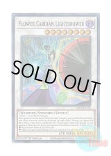 画像: 英語版 DLCS-EN135 Flower Cardian Lightshower 花札衛－雨四光－ (ウルトラレア) 1st Edition