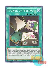 画像: 英語版 DLCS-EN136 Flower Gathering 花合わせ (ノーマル) 1st Edition