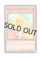 画像: 英語版 HAC1-EN102 Naturia Sunflower ナチュル・サンフラワー (ノーマル) 1st Edition