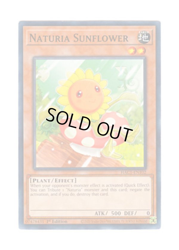 画像1: 英語版 HAC1-EN102 Naturia Sunflower ナチュル・サンフラワー (ノーマル) 1st Edition