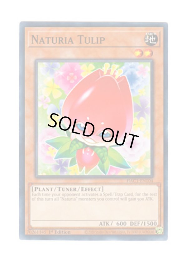 画像1: 英語版 HAC1-EN104 Naturia Tulip ナチュル・トライアンフ (ノーマル・パラレル) 1st Edition