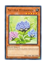 画像: 英語版 HAC1-EN107 Naturia Hydrangea ナチュル・ハイドランジー (ノーマル) 1st Edition