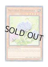 画像: 英語版 HAC1-EN107 Naturia Hydrangea ナチュル・ハイドランジー (ノーマル・パラレル) 1st Edition