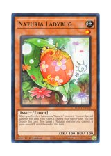 画像: 英語版 HAC1-EN109 Naturia Ladybug ナチュル・レディバグ (ノーマル) 1st Edition