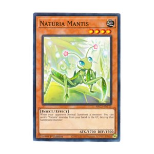 画像: 英語版 HAC1-EN113 Naturia Mantis ナチュル・マンティス (ノーマル) 1st Edition