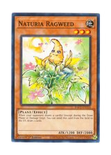 画像: 英語版 HAC1-EN114 Naturia Ragweed ナチュル・ラグウィード (ノーマル) 1st Edition