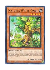 画像: 英語版 HAC1-EN115 Naturia White Oak ナチュル・ホワイトオーク (ノーマル) 1st Edition