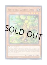 画像: 英語版 HAC1-EN115 Naturia White Oak ナチュル・ホワイトオーク (ノーマル・パラレル) 1st Edition