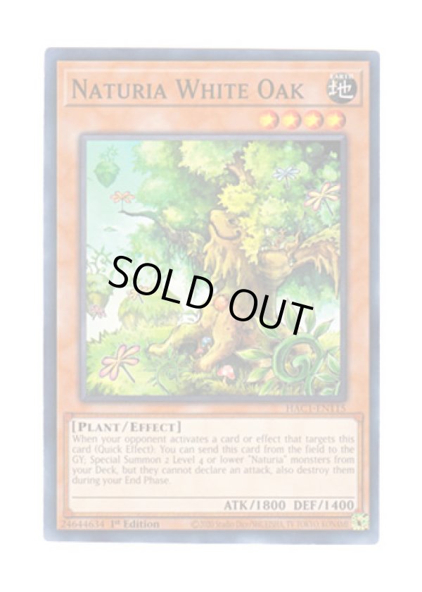 画像1: 英語版 HAC1-EN115 Naturia White Oak ナチュル・ホワイトオーク (ノーマル・パラレル) 1st Edition