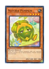 画像: 英語版 HAC1-EN117 Naturia Pumpkin ナチュル・パンプキン (ノーマル) 1st Edition