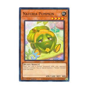 画像: 英語版 HAC1-EN117 Naturia Pumpkin ナチュル・パンプキン (ノーマル) 1st Edition