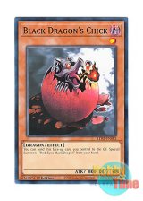 画像: 英語版 LDS1-EN002 Black Dragon's Chick (Updated from: Red-Eyes B. Chick) 黒竜の雛 (ノーマル) 1st Edition