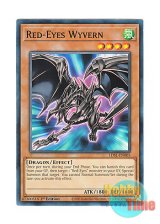 画像: 英語版 LDS1-EN005 Red-Eyes Wyvern 真紅眼の飛竜 (ノーマル) 1st Edition