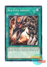 画像: 英語版 LDS1-EN019 Red-Eyes Insight レッドアイズ・インサイト (ノーマル) 1st Edition