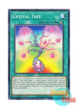 画像: 英語版 LDS1-EN108 Crystal Tree 宝玉の樹 (ノーマル) 1st Edition