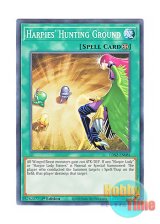 画像: 英語版 LDS2-EN081 Harpies' Hunting Ground ハーピィの狩場 (ノーマル) 1st Edition