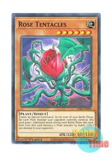 画像: 英語版 LDS2-EN095 Rose Tentacles ローズ・テンタクルス (ノーマル) 1st Edition