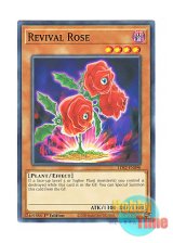 画像: 英語版 LDS2-EN098 Revival Rose 返り咲く薔薇の大輪 (ノーマル) 1st Edition