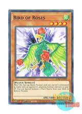 画像: 英語版 LDS2-EN099 Bird of Roses ローズ・バード (ノーマル) 1st Edition