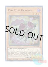 画像: 英語版 LDS2-EN108 Red Rose Dragon レッドローズ・ドラゴン (ウルトラレア) 1st Edition