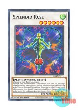 画像: 英語版 LDS2-EN111 Splendid Rose スプレンディッド・ローズ (ノーマル) 1st Edition