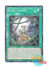 画像: 英語版 LDS2-EN116 Black Garden ブラック・ガーデン (ノーマル) 1st Edition