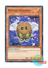 画像: 英語版 LDS3-EN100 Winged Kuriboh ハネクリボー (ノーマル) 1st Edition