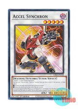 画像: 英語版 LDS3-EN120 Accel Synchron アクセル・シンクロン (ノーマル) 1st Edition