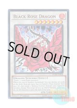 画像: 英語版 DUDE-EN010 Black Rose Dragon ブラック・ローズ・ドラゴン (ウルトラレア) 1st Edition