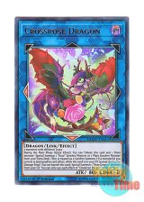 画像: 英語版 DUOV-EN015 Crossrose Dragon クロスローズ・ドラゴン (ウルトラレア) 1st Edition