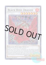 画像: 英語版 DUSA-EN077 Black Rose Dragon ブラック・ローズ・ドラゴン (ウルトラレア) 1st Edition