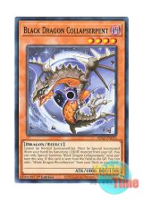 画像: 英語版 SDAZ-EN013 Black Dragon Collapserpent 暗黒竜 コラプサーペント (ノーマル) 1st Edition