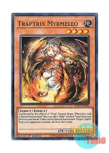 画像: 英語版 SDBT-EN004 Traptrix Myrmeleo トリオンの蟲惑魔 (ノーマル) 1st Edition