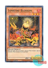 画像: 英語版 SDBT-EN013 Lonefire Blossom ローンファイア・ブロッサム (ノーマル) 1st Edition