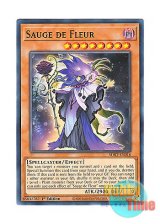 画像: 英語版 SDBT-EN016 Sauge de Fleur 時花の賢者－フルール・ド・サージュ (ノーマル) 1st Edition