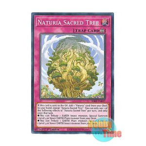 画像: 英語版 SDBT-EN037 Naturia Sacred Tree ナチュルの神星樹 (ノーマル) 1st Edition