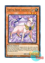 画像: 英語版 SDCB-EN002 Crystal Beast Amethyst Cat 宝玉獣 アメジスト・キャット (ノーマル) 1st Edition