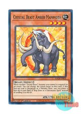 画像: 英語版 SDCB-EN005 Crystal Beast Amber Mammoth 宝玉獣 アンバー・マンモス (ノーマル) 1st Edition