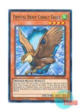 画像: 英語版 SDCB-EN006 Crystal Beast Cobalt Eagle 宝玉獣 コバルト・イーグル (ノーマル) 1st Edition