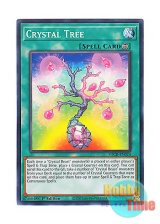 画像: 英語版 SDCB-EN024 Crystal Tree 宝玉の樹 (ノーマル) 1st Edition