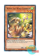 画像: 英語版 SDCH-EN004 Wynn the Wind Charmer 風霊使いウィン (ノーマル) 1st Edition