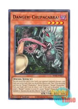 画像: 英語版 SDCK-EN023 Danger! Chupacabra! 未界域のチュパカブラ (ノーマル) 1st Edition