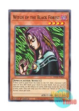 画像: 英語版 SDCK-EN024 Witch of the Black Forest 黒き森のウィッチ (ノーマル) 1st Edition