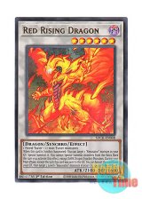 画像: 英語版 SDCK-EN048 Red Rising Dragon レッド・ライジング・ドラゴン (ウルトラレア) 1st Edition