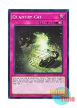 画像: 英語版 SDCL-EN037 Quantum Cat 量子猫 (ノーマル) 1st Edition